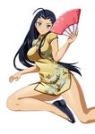  ikkitousen kakouen_myousai tagme 