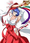  ikkitousen ryomou_shimei tagme 