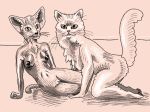  6hexagon6 breasts clitoris domestic_cat felid felids feline felis female female/female fur invalid_tag looking_at_viewer male male/male mammal nipples nude on_hands_and_knees persian_cat pussy simple_background sitting smile 