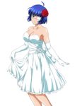  ikkitousen ryomou_shimei tagme 