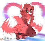  anthro bulge butt clothed clothing colored_sketch crossdressing crouching fluffy fur g-string girly green_eyes higgyy looking_at_viewer male mammal multicolored_fur rear_view red_panda solo underwear 