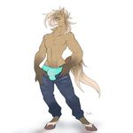  abs anthro appaloosa athletic boxer_briefs bulge clothing equine hooves horse looking_at_viewer male mammal muscular muscular_male philippe_destrier presenting smile solo underwear undressing yogoat 