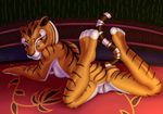  2018 absurd_res anthro bedroom_eyes breasts butt feline female fur half-closed_eyes hi_res kung_fu_panda looking_at_viewer looking_back lying mammal master_tigress nude on_front orange_eyes pussy sacrificabominat seductive side_boob smile solo striped_fur stripes tiger toeless_(marking) yellow_sclera 