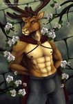  abs alternate_version_available antlers biceps bulge cape cervine clothed clothing digital_media_(artwork) disney flower horn looking_at_viewer male mammal medieval muscular muscular_male nipples outside plant prince reindeer royalty sevenarms smile snow_white_and_the_seven_dwarfs solo standing topless 