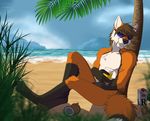  2017 4_toes 5_fingers absurd_res anthro beach beverage black_fur black_nose brown_eyes canine cinta day digitigrade egsaku egsaku_(character) eyewear fox fur glasses gloves_(marking) hi_res holding_object leaning looking_at_viewer male mammal markings multicolored_fur nude orange_fur orange_juice palm_tree pose sand seaside sharp_teeth sitting sky smile socks_(marking) solo straw sunglasses teeth toes tree water white_fur 