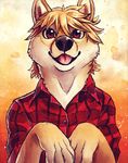  5_fingers anthro black_nose blonde_hair brown_eyes canine clothed clothing dog hair mammal shiba_inu solo tasanko traditional_media_(artwork) watercolor_(artwork) 
