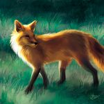  2017 black_nose canine digital_media_(artwork) digital_painting_(artwork) feral fox goldendruid mammal solo stanidng watermark 