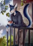  2018 5_fingers anthro blue_eyes blue_fur cat clothed clothing day detailed_background felicia_cat feline fur inner_ear_fluff male mammal outside solo standing 