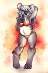  anthro bikini blue_eyes clothing female fur grey_fur hair koala mammal marsupial pidgeon_toed smile solo swimsuit tasanko white_hair 