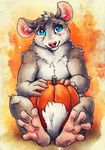  anthro blue_eyes chinchilla food fruit fur grey_fur male mammal nude pumpkin rodent sitting smile solo tasanko 