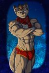  abs canine clothing iudicium86 male mammal muscular pinup pose scarf solo underwear winter wolf 