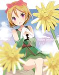  birthday blush brown_hair dress flower koizumi_hanayo love_live!_school_idol_project short_hair smile violet_eyes 