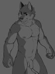  2019 5_fingers anthro athletic canid canine canis chest_tuft clenched_fists digital_media_(artwork) enokorogusa2 eyebrows flaccid grey_background humanoid_penis male mammal monochrome navel nipples nude penis simple_background sketch solo standing tuft wolf 