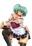  ikkitousen ryofu_housen tagme 