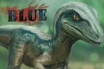  2015 blue_(jurassic_world) dinosaur jurassic_park jurassic_world looking_at_viewer orange_eyes raptor signature simple_background solo sprout theropod 