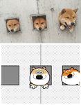  animated blue_eyes brown_fur canine dog fangs feral flipnote_studio fur green_eyes group keke loop mammal observation_hole one_eye_closed open_mouth paws real red_fur shiba_inu smile toony wink yellow_fur 
