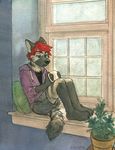  2018 anthro clothing cup hyena inside male mammal sicklyhypnos solo window 
