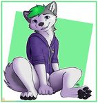  5_fingers animal_genitalia anthro balls canine clothing cute dog green_hair hair hoodie husky letodoesart male mammal pawpads smile solo young 