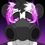  anthro bear black_fur black_hair cubi digital_drawing_(artwork) digital_media_(artwork) fur gas_mask gradient_background hair kai-panda looking_at_viewer male mammal mask multicolored_fur multicolored_hair panda purple_background purple_eyes simple_background solo spiral spiral_eyes two_tone_fur white_hair 