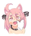  ambiguous_gender animal_humanoid cat_ears_(disambiguation) collar disembodied_hand eds finger_in_mouth hair humanoid mammal pink_hair saliva teeth 