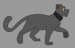  2014 4_toes 5_fingers black_collar chain collar cubi digital_drawing_(artwork) digital_media_(artwork) feline feral flir flir_(panther) grey_background long_tail male mammal nude panther rubber rubbercat simple_background smile solo toes yellow_eyes 