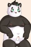  anthro balls bear black_fur cub erection foreskin fur green_eyes male mammal obese overweight panda partially_retracted_foreskin penis simple_background solo teenager toonofantasy uncut white_fur young 