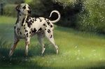  2017 black_nose canine dalmatian day detailed_background digital_media_(artwork) dog fur grass male mammal outside pherigo spots spotted_fur white_fur 