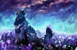  2017 ambiguous_gender black_fur black_markings blue_eyes blue_theme canine clockbirds cloud detailed_background ear_piercing feral flower forest front_view fur galaxy gloves_(marking) looking_back mammal markings night outside piercing plant sitting sky solo star starry_sky tree white_markings 