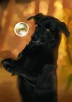  2018 ambiguous_gender black_nose bubble canine claws detailed digital_media_(artwork) dog feral fur mammal martith outside photorealism realistic smile solo 