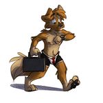  boxer_briefs briefcase canine clothed clothing dog male mammal thesepantsdontfit tinydeerguy topless underwear walking watch 