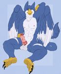  2018 3_toes abs animal_genitalia animal_penis anthro avian balls beak blue_background blue_eyes blue_fur canine_penis erection eyebrows feathered_wings feathers fur gryphon hand_behind_head knot looking_at_viewer male marjani multicolored_fur muscular nipples nude one_eye_closed penis plantigrade pose red_penis simple_background sitting solo toes two_tone_fur vein white_fur wings wink 
