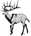  alpha_channel antlers black_countershading black_markings cervine cloven_hooves countershading deer feral fur hooves horn male mammal markings shadiksilence side_view simple_background socks_(marking) solo standing transparent_background white_eyes white_fur 