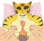  big_eyebrows big_pecs blush cum feline first_person_perspective human male male/male mammal morenatsu muscular nipples pecjob pecs penis pillow tiger torahiko_(morenatsu) unknown_artist 