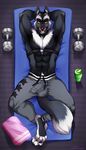  2018 anthro athletic balls black_fur black_nose bulge canine chest_tuft clothed clothing connor_(contron) dumbbell exercise fur hands_behind_head inner_ear_fluff looking_at_viewer lying male mammal multicolored_fur multicolored_tail on_back pads_(disambiguation) pants smile smirk solo spazzyhusky sweatpants tongue towel tuft two_tone_fur weights wolf yellow_eyes 