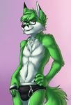  anthro briefs bulge canine clothing digital_media_(artwork) eyewear fox fur glasses green_fur looking_at_viewer male mammal pinup pose shadownight smile solo tigerinspace underwear white_fur 