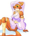  2016 anthro breasts canine clothed clothing damn_lasso_tool disney female fox fur hi_res looking_at_viewer maid_marian mammal panties robin_hood_(disney) smile solo underwear 