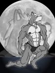  barefoot black_underwear detailed_background howl jewelry moon necklace nintendo star_fox video_games wolf_o&#039;donnell wolfoxokamichan 