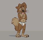  briefs canine clothing dog grey_background male mammal simple_background solo thesepantsdontfit tighty_whities tinydeerguy tongue tongue_out underwear white_underwear 