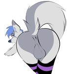  2018 anthro anus ass_up balls bent_over big_butt butt canine clothed clothing dima_(artist) hair legwear looking_at_viewer looking_back male mammal partially_clothed raised_tail solo stockings thigh_highs wolf 