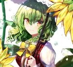  fuupu kazami_yuuka tagme touhou 