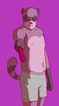  boxers_(clothing) clothed clothing green_underwear male mammal nishi purple_background simple_background tanuki topless underwear 