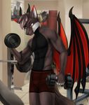  boxers_(clothing) canine clothing dragon edgy elvofrida equipment fur gaymingwolfy gym horn invalid_tag male male/male mammal manly muscular reptile scales scalie teasing underwear wings wolf wolf_dragon 