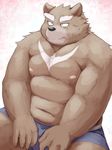  anthro bear belly clothed clothing hi_res male mammal moobs mti777 musclegut muscular muscular_male navel simple_background slightly_chubby solo topless 