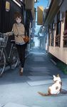  air_conditioner alley bag bicycle black_legwear blush brown_eyes brown_hair cat city commentary day ground_vehicle handbag kyoto light_smile looking_to_the_side original plant potted_plant real_world_location sakeharasu sidelocks solo sweater vanishing_point walking 