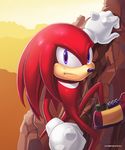  anthro black_nose clothing echidna english_text footwear gloves hybridmink knuckles_the_echidna mammal monotreme mountain purple_eyes rock signature solo sonic_(series) text video_games 