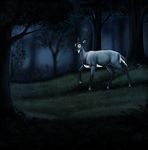  black_markings blue_eyes blue_fur cervine countershading deer detailed_background female feral forest fur grass hooves isiel looking_at_viewer looking_back mammal markings night one_leg_up outside plant shadiksilence socks_(marking) solo standing tree walking white_countershading 
