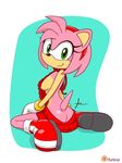  amy_rose anthro black_nose boots bracelet butt clothing female footwear furboz gloves green_eyes hair hairband hedgehog jewelry looking_back mammal pink_hair short_hair signature sitting smile solo sonic_(series) sweater video_games virgin_killer_sweater 