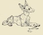  2015 ambiguous_gender aspeneyes black_and_white canine claws dog feral inktober looking_back lying mammal monochrome pawpads pharaoh_hound relaxing simple_background sketch solo white_background 