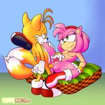  &lt;3 &lt;3_eye amy_rose anal anal_penetration anthro beast_(disambiguation) blonde_hair blue_eyes canine clitoris clothing fappuccinoart female footwear fox fur gloves green_eyes hair hairband half-closed_eyes hedgehog looking_pleasured male male/female mammal masturbation miles_prower nipples penetration penis pillow pink_fur pink_hair pussy pussy_juice sex shoes smile sonic_(series) sonic_series spread_legs spreading tagme video_games yellow_fur 