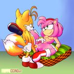  &lt;3 &lt;3_eye amy_rose anal anal_penetration anthro beast_(disambiguation) blonde_hair blue_eyes canine clitoris clothing cum cum_in_ass cum_inside fappuccinoart female footwear fox fur gloves green_eyes hair hairband half-closed_eyes hedgehog looking_pleasured male male/female mammal masturbation miles_prower nipples penetration penis pillow pink_fur pink_hair pussy pussy_juice sex shoes smile sonic_(series) sonic_series spread_legs spreading tagme video_games yellow_fur 